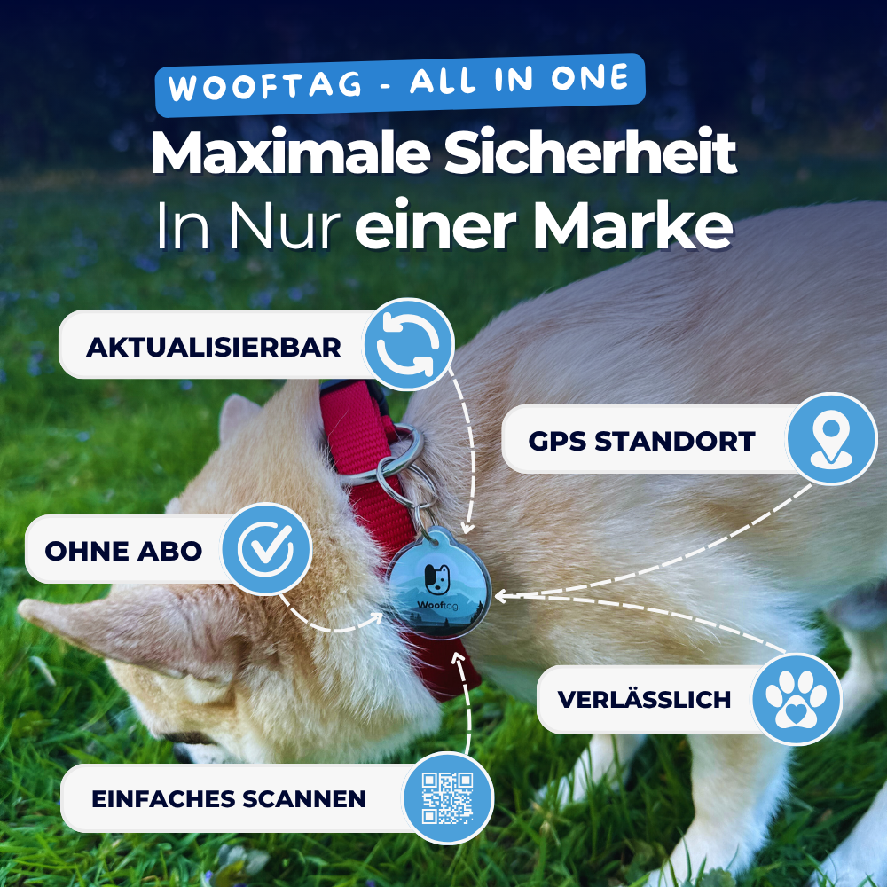 Limited Starter Bundle