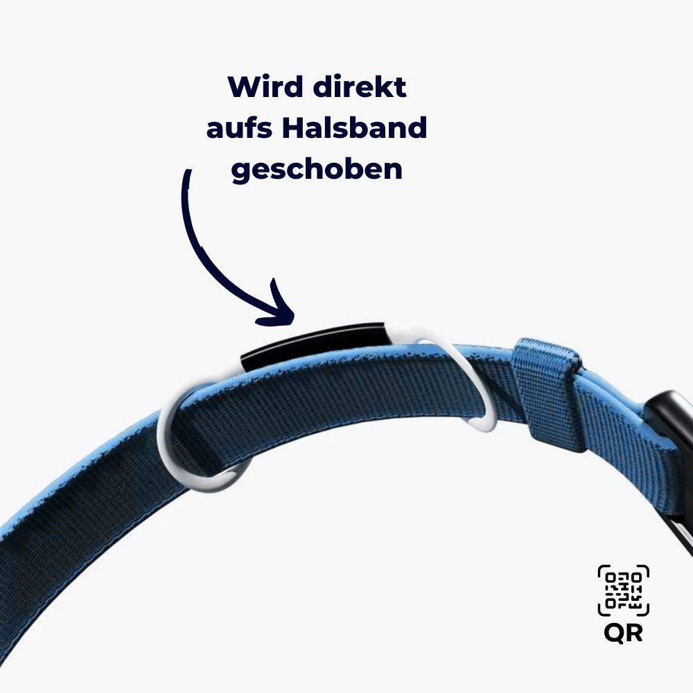 Wooftag - Starter Bundle - Wooftag