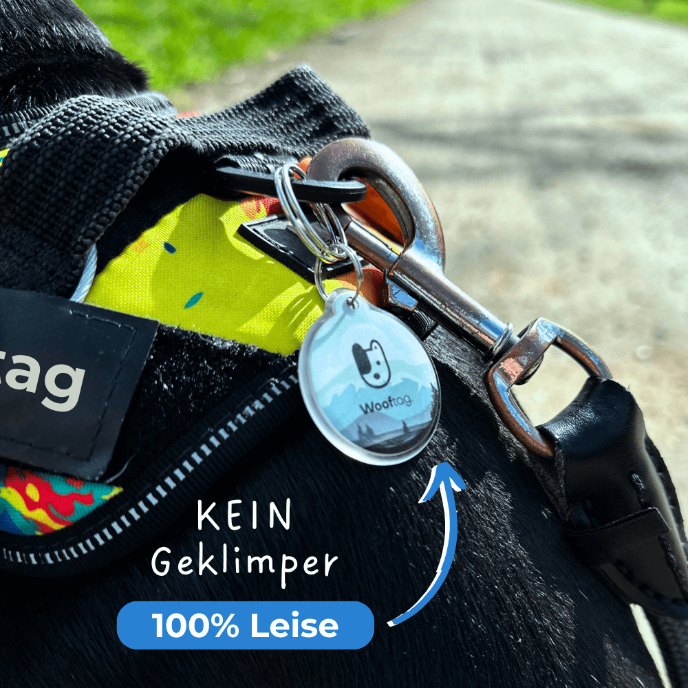 Wooftag - Olive Dog