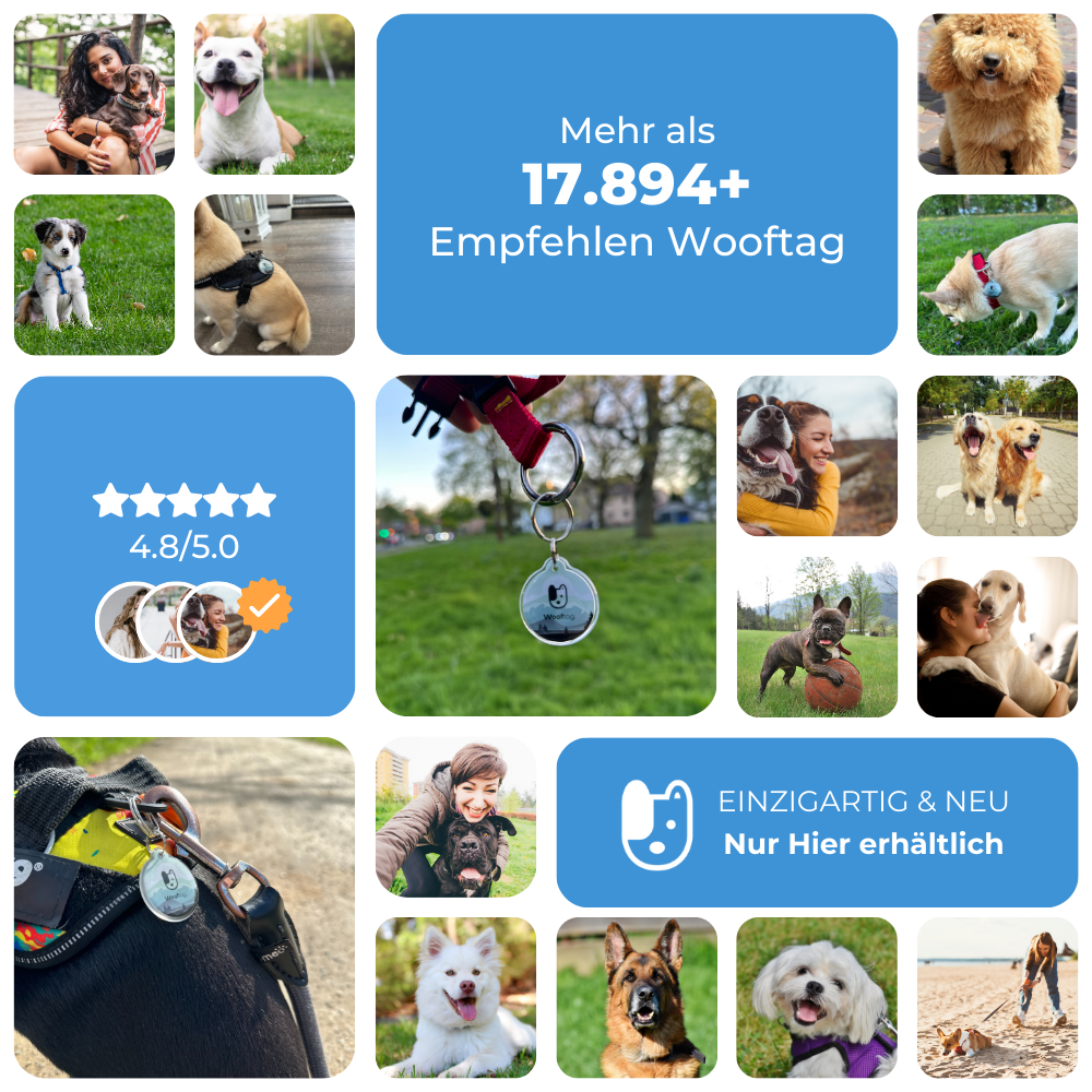 Wooftag Classic Bundle - für dein Rudel oder zum verschenken.