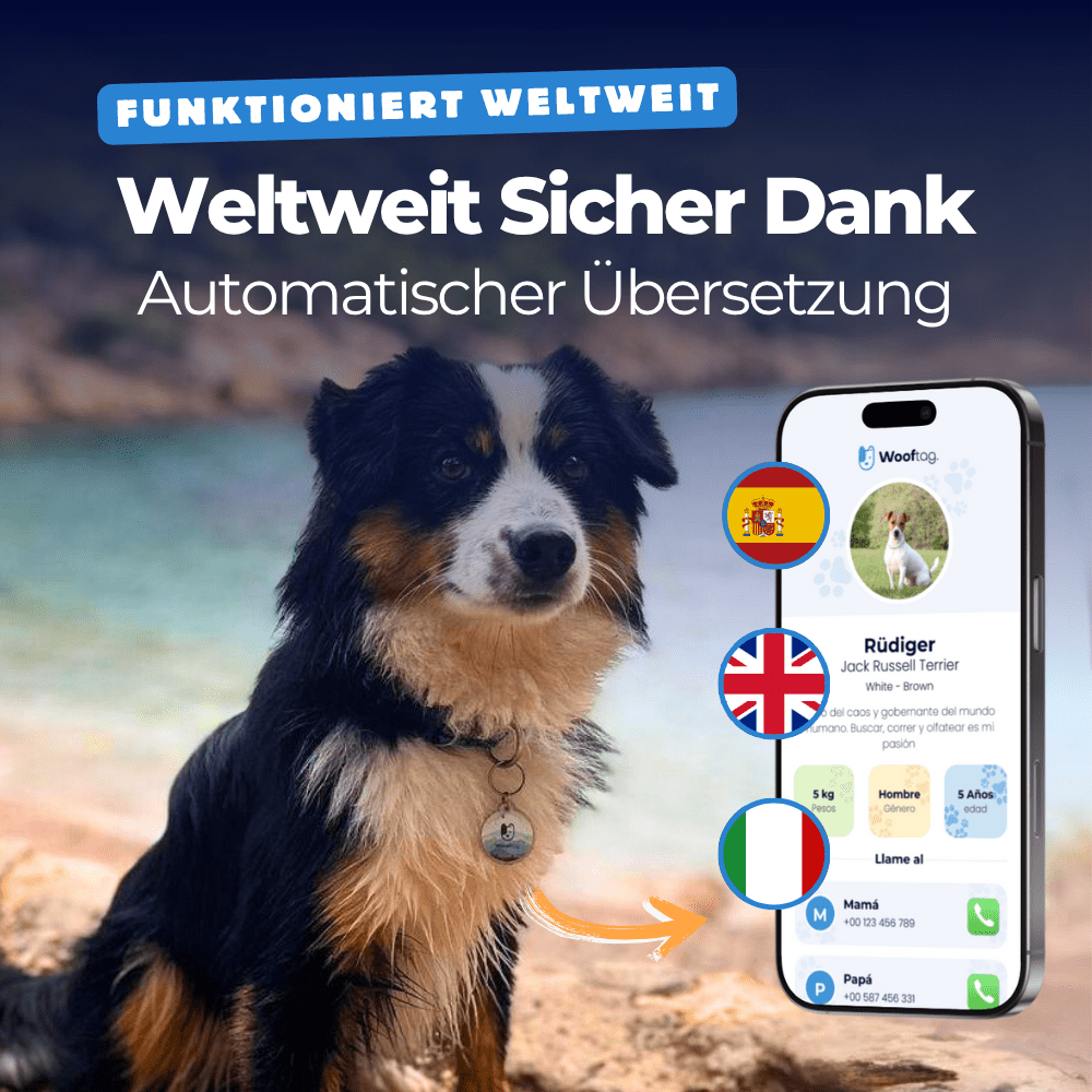 Stelle dir dein Wooftag® Starter - Set selber zusammen - Wooftag