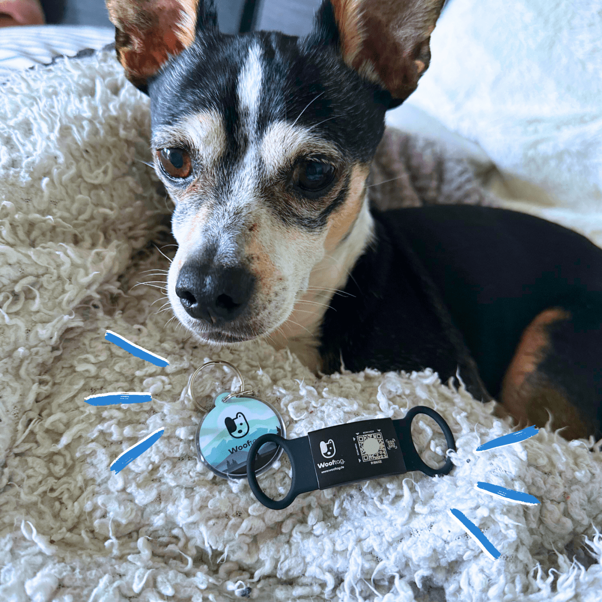Wooftag Army Bundle - für dein Rudel oder zum verschenken. - Wooftag
