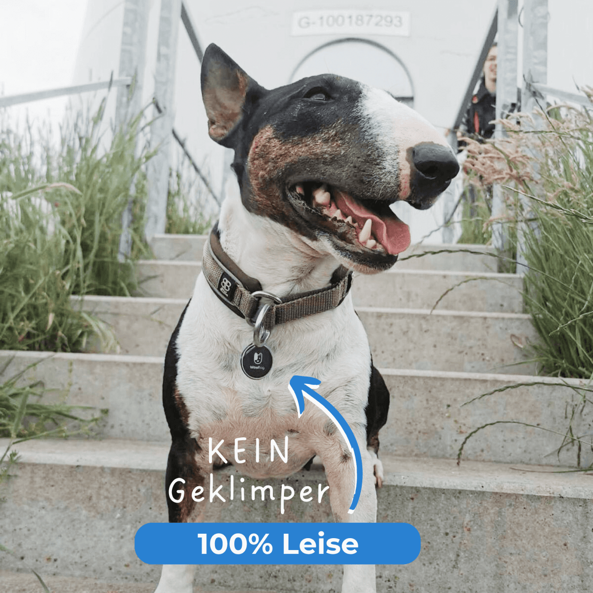 Wooftag - Black Pearl - Wooftag