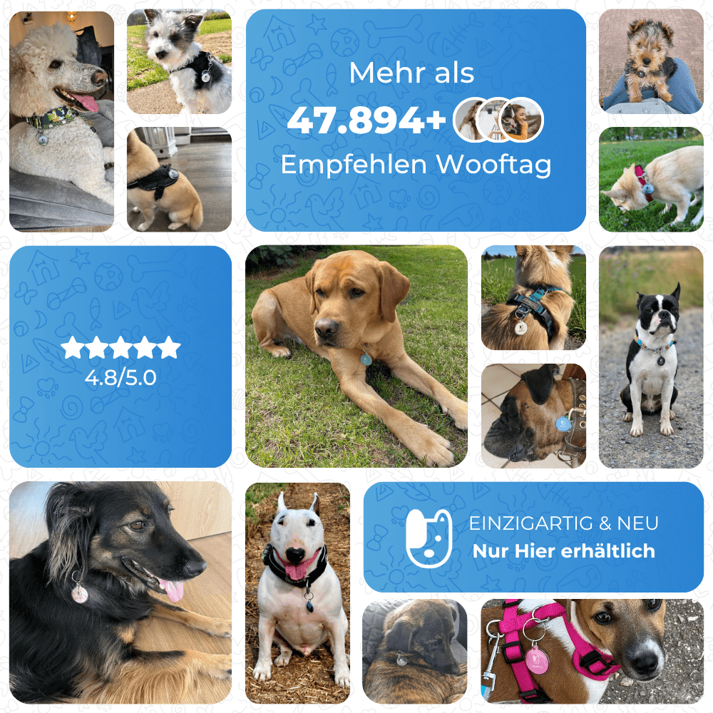 Wooftag® Fall Bundle - für dein Rudel oder zum verschenken. - Wooftag