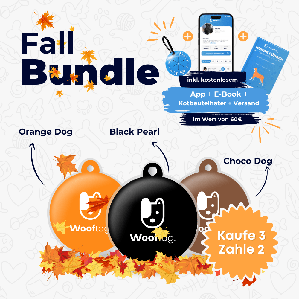 Wooftag® Fall Bundle - für dein Rudel oder zum verschenken. - Wooftag