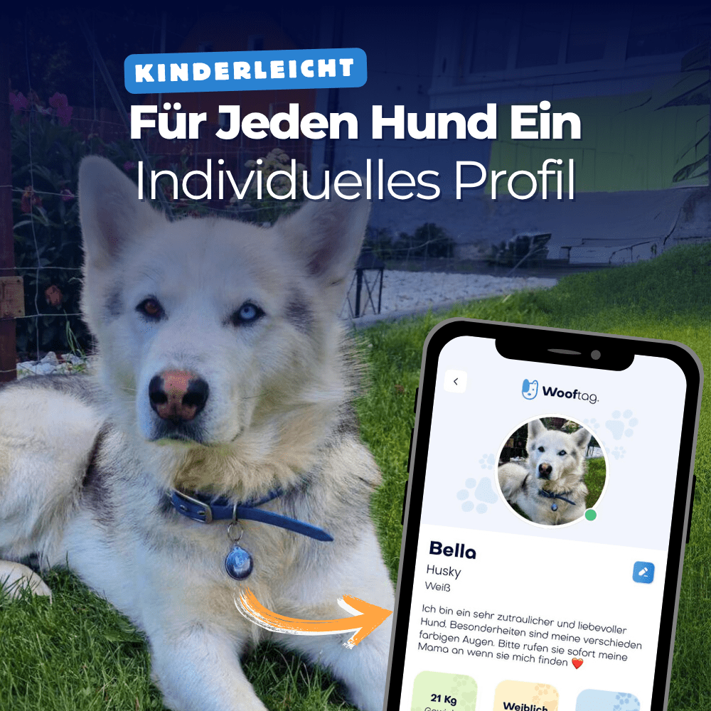 Wooftag™ Limited Starter Bundle - Wooftag