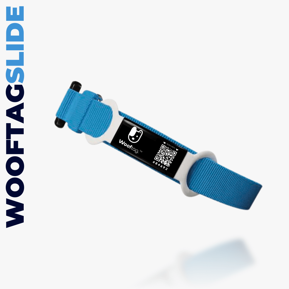 Wooftag - Slide - Wooftag